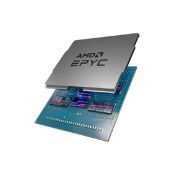 AMD 100-000000794